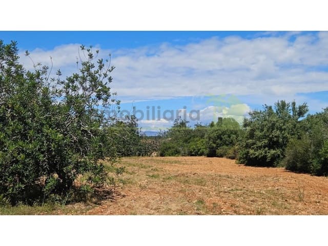 Terreno/Finca Rústica en Càlig en venta - 35.000 € (Ref: 9591464)