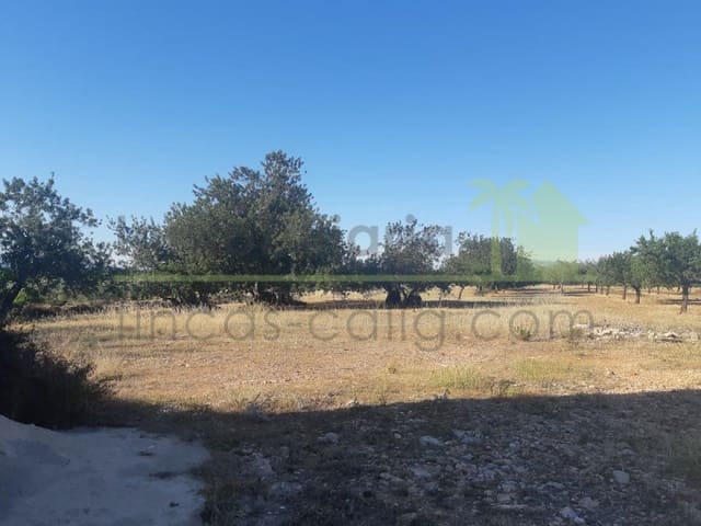 Grunde uden byggetilladelser til salg i Benicarló - € 52.000 (Ref: 9591465)