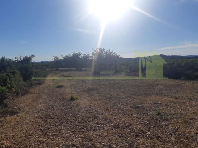 Grunde uden byggetilladelser til salg i Benicarló - € 52.000 (Ref: 9591465)