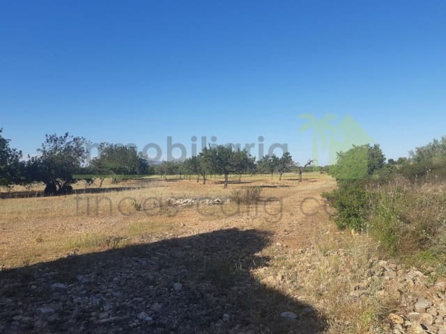 Grunde uden byggetilladelser til salg i Benicarló - € 52.000 (Ref: 9591465)