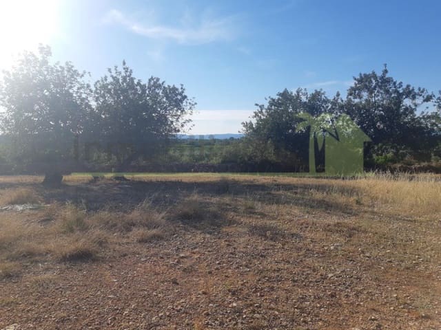 Grunde uden byggetilladelser til salg i Benicarló - € 52.000 (Ref: 9591465)