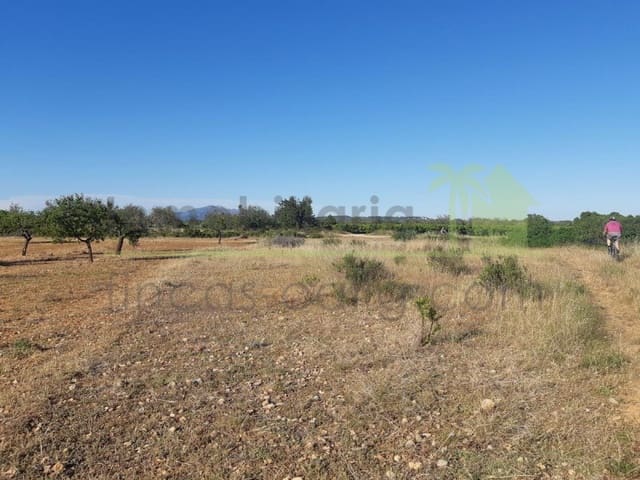 Grunde uden byggetilladelser til salg i Benicarló - € 52.000 (Ref: 9591465)