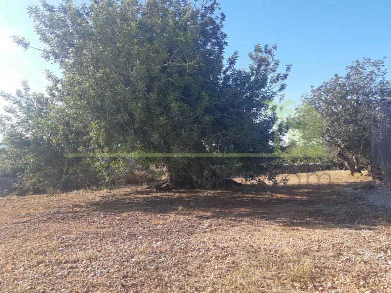 Grunde uden byggetilladelser til salg i Benicarlo - € 52.000 (Ref: 9591465)