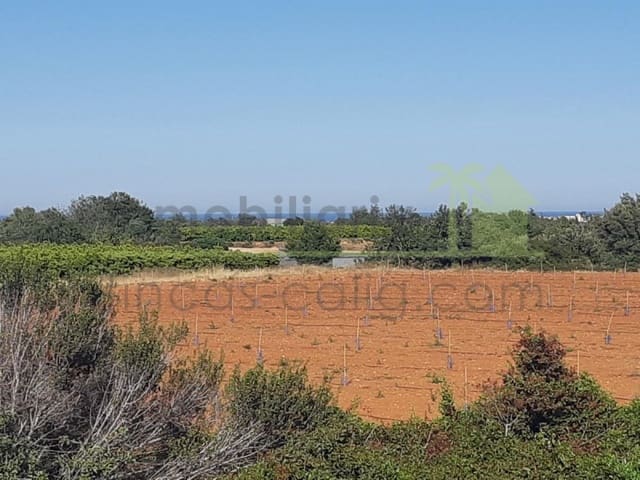 Grunde uden byggetilladelser til salg i Benicarló - € 52.000 (Ref: 9591465)