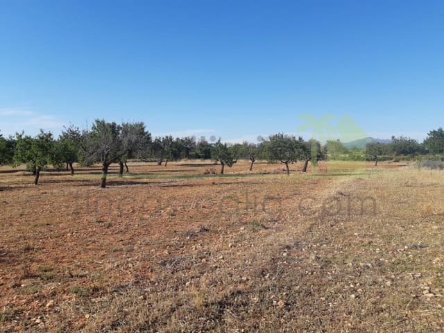 Grunde uden byggetilladelser til salg i Benicarló - € 52.000 (Ref: 9591465)