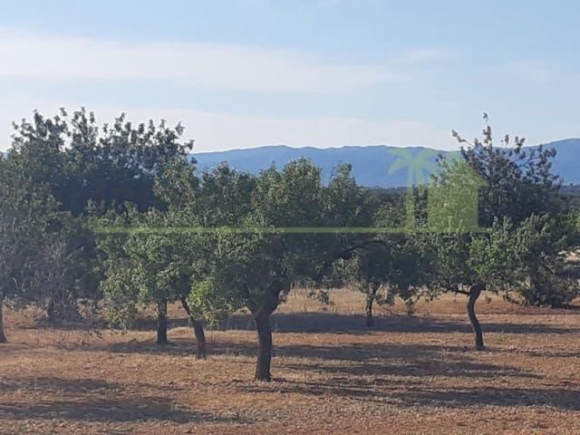 Grunde uden byggetilladelser til salg i Benicarló - € 52.000 (Ref: 9591465)