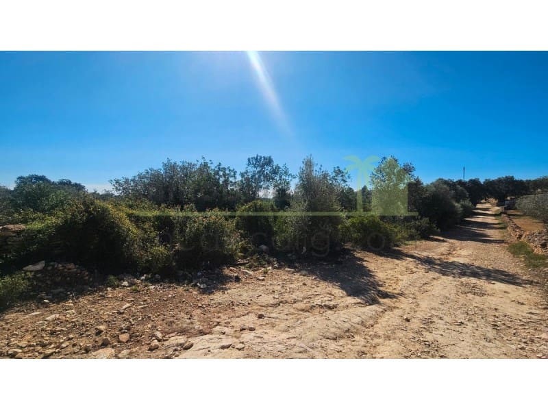 Teren niezagospodarowany na sprzedaż w Cervera del Maestre / Cervera del Maestrat - 40 000 € (Ref: 9591466)