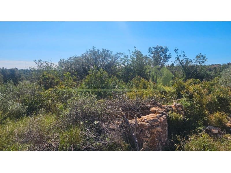 Teren niezagospodarowany na sprzedaż w Cervera del Maestre / Cervera del Maestrat - 40 000 € (Ref: 9591466)