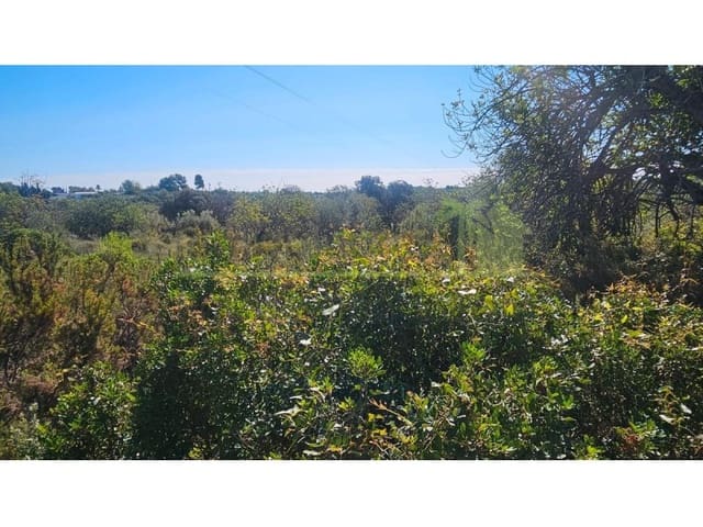 Rakentamaton maa myytävänä paikassa Cervera del Maestre / Cervera del Maestrat - 40 000 € (Ref: 9591466)