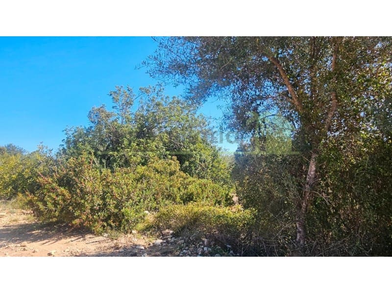 Teren niezagospodarowany na sprzedaż w Cervera del Maestre / Cervera del Maestrat - 40 000 € (Ref: 9591466)