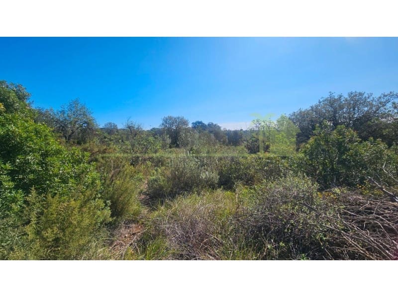 Teren niezagospodarowany na sprzedaż w Cervera del Maestre / Cervera del Maestrat - 40 000 € (Ref: 9591466)