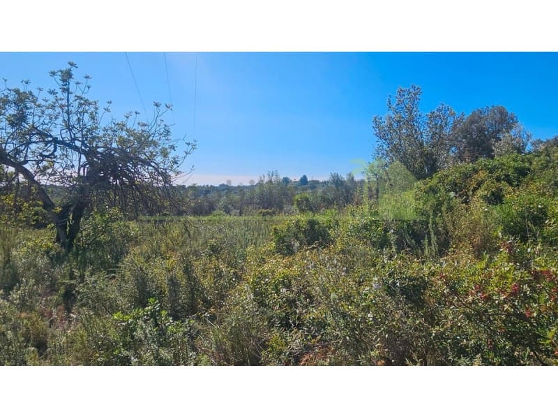 Teren niezagospodarowany na sprzedaż w Cervera del Maestre / Cervera del Maestrat - 40 000 € (Ref: 9591466)