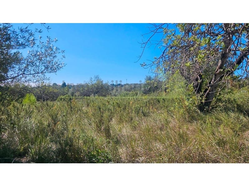 Teren niezagospodarowany na sprzedaż w Cervera del Maestre / Cervera del Maestrat - 40 000 € (Ref: 9591466)