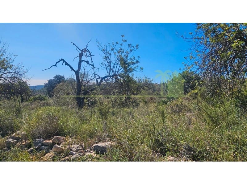 Teren niezagospodarowany na sprzedaż w Cervera del Maestre / Cervera del Maestrat - 40 000 € (Ref: 9591466)