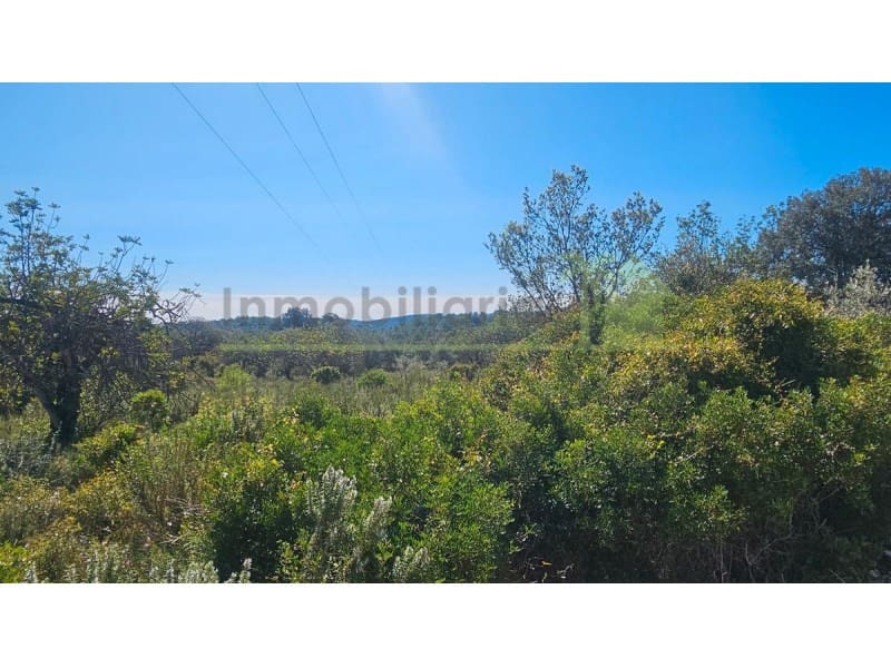 Teren niezagospodarowany na sprzedaż w Cervera del Maestre / Cervera del Maestrat - 40 000 € (Ref: 9591466)