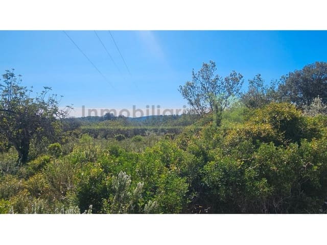 Rakentamaton maa myytävänä paikassa Cervera del Maestre / Cervera del Maestrat - 40 000 € (Ref: 9591466)