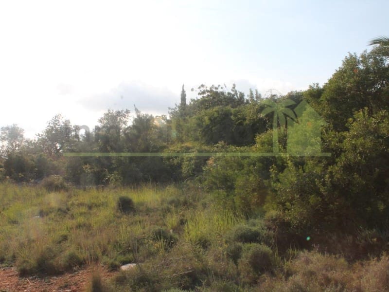 Grunde uden byggetilladelser til salg i Calig - € 65.000 (Ref: 9591467)