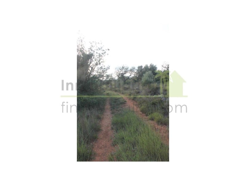 Grunde uden byggetilladelser til salg i Calig - € 65.000 (Ref: 9591467)