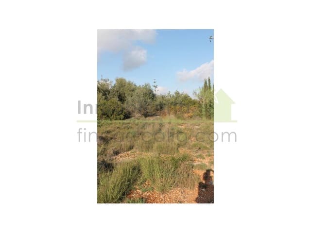 Terreno/Finca Rústica en Càlig en venta - 65.000 € (Ref: 9591467)