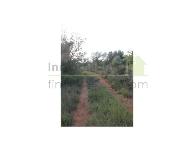 Terreno/Finca Rústica en Càlig en venta - 65.000 € (Ref: 9591467)