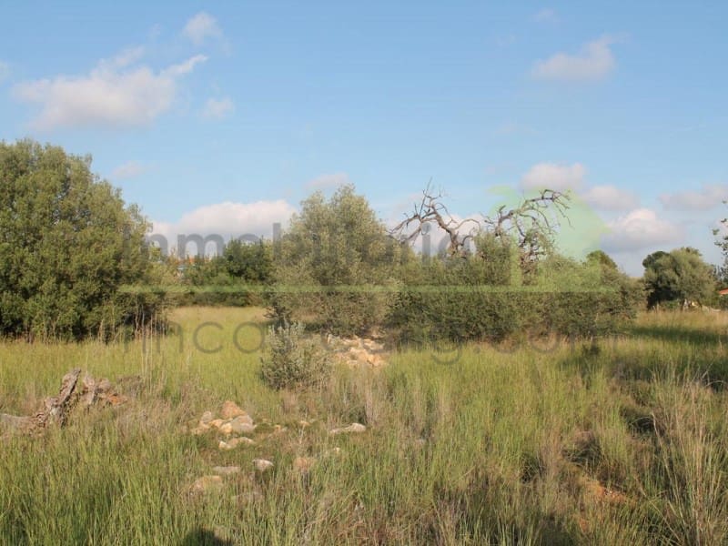 Grunde uden byggetilladelser til salg i Calig - € 65.000 (Ref: 9591467)