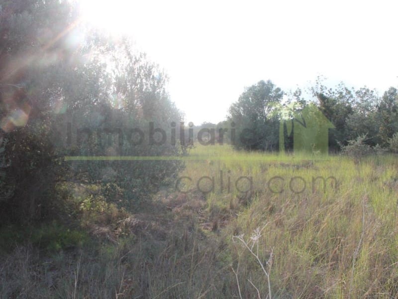 Grunde uden byggetilladelser til salg i Calig - € 65.000 (Ref: 9591467)