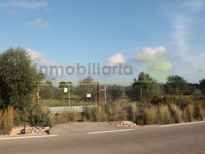 Grunde uden byggetilladelser til salg i Calig - € 65.000 (Ref: 9591467)