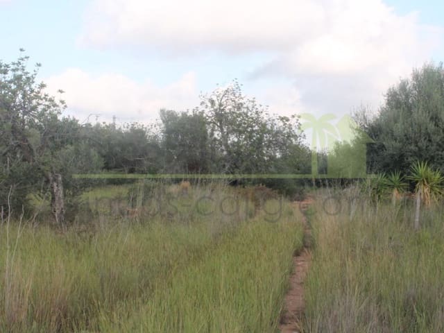 Terreno/Finca Rústica en Càlig en venta - 65.000 € (Ref: 9591467)