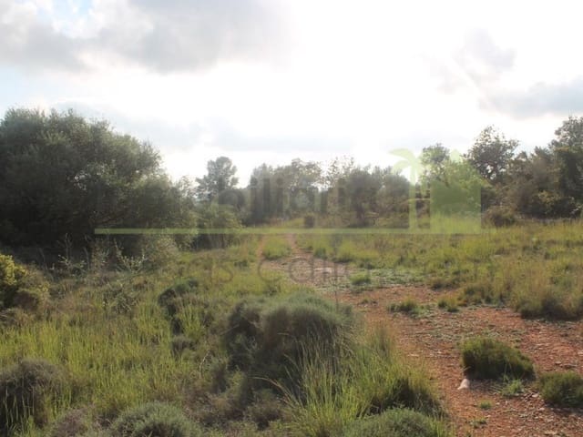 Terreno/Finca Rústica en Càlig en venta - 65.000 € (Ref: 9591467)