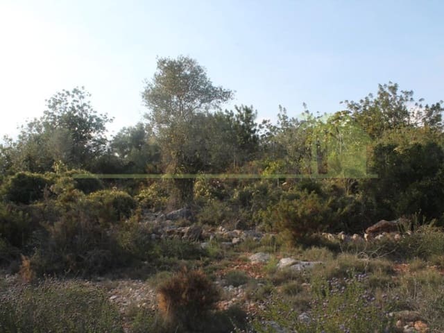 Terreno/Finca Rústica en Càlig en venta - 65.000 € (Ref: 9591467)