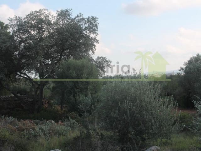 Terreno/Finca Rústica en Càlig en venta - 65.000 € (Ref: 9591467)