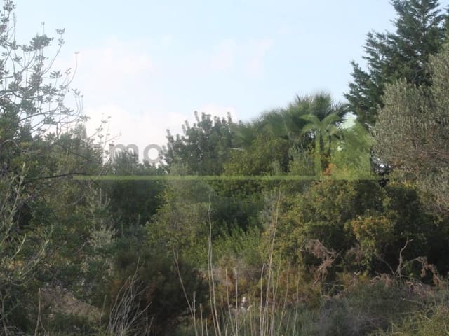 Terreno/Finca Rústica en Càlig en venta - 65.000 € (Ref: 9591467)