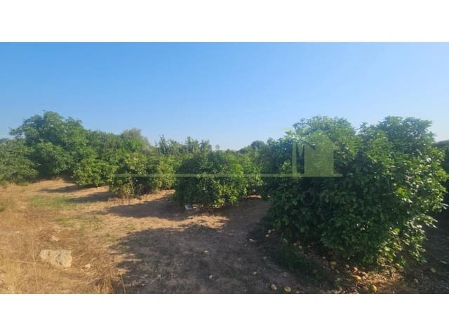 Terreno/Finca Rústica en Vinaròs en venta - 65.000 € (Ref: 9591469)