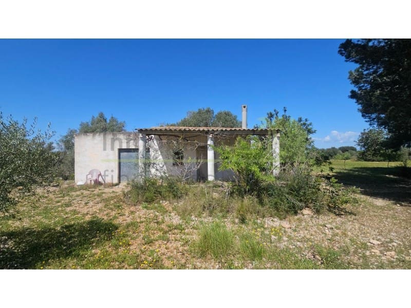 Terreno/Finca Rústica en Vinaròs en venta - 65.000 € (Ref: 9591470)