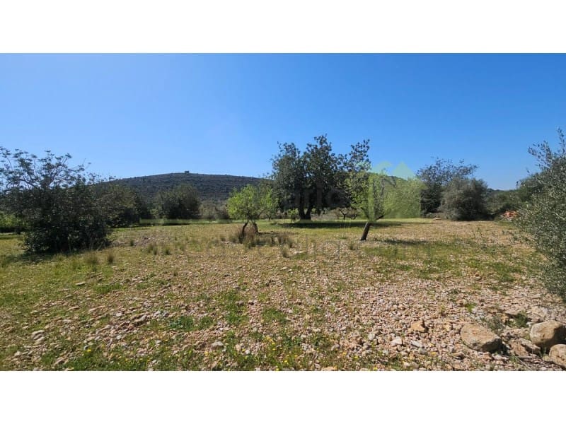 Terreno/Finca Rústica en Vinaròs en venta - 65.000 € (Ref: 9591470)