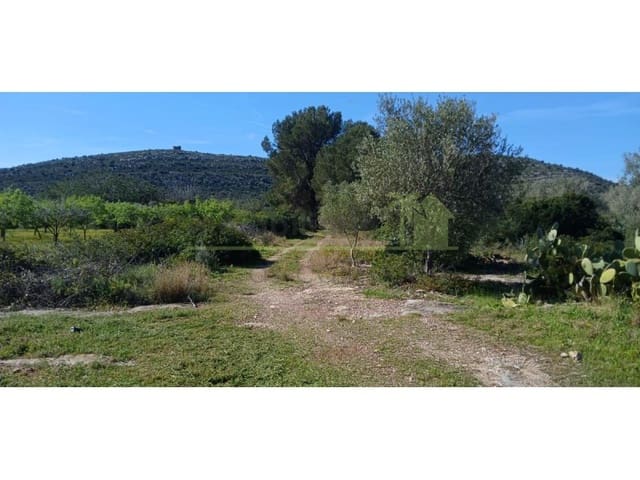 Terreno/Finca Rústica en Vinaròs en venta - 65.000 € (Ref: 9591470)