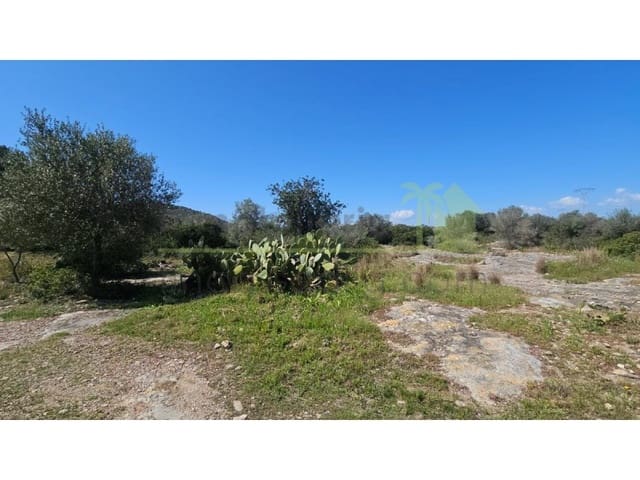 Terreno/Finca Rústica en Vinaròs en venta - 65.000 € (Ref: 9591470)
