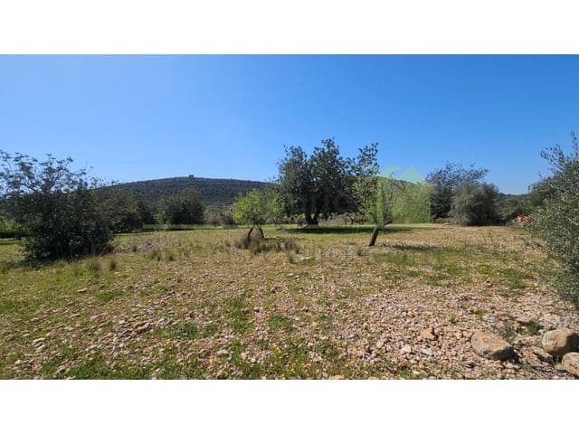 Terreno/Finca Rústica en Vinaròs en venta - 65.000 € (Ref: 9591470)