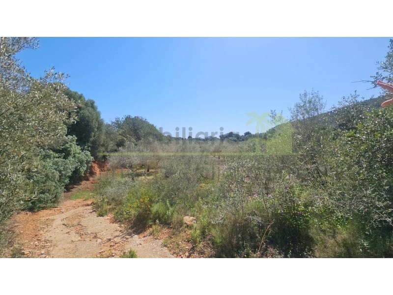 Terreno/Finca Rústica en Vinaròs en venta - 65.000 € (Ref: 9591470)