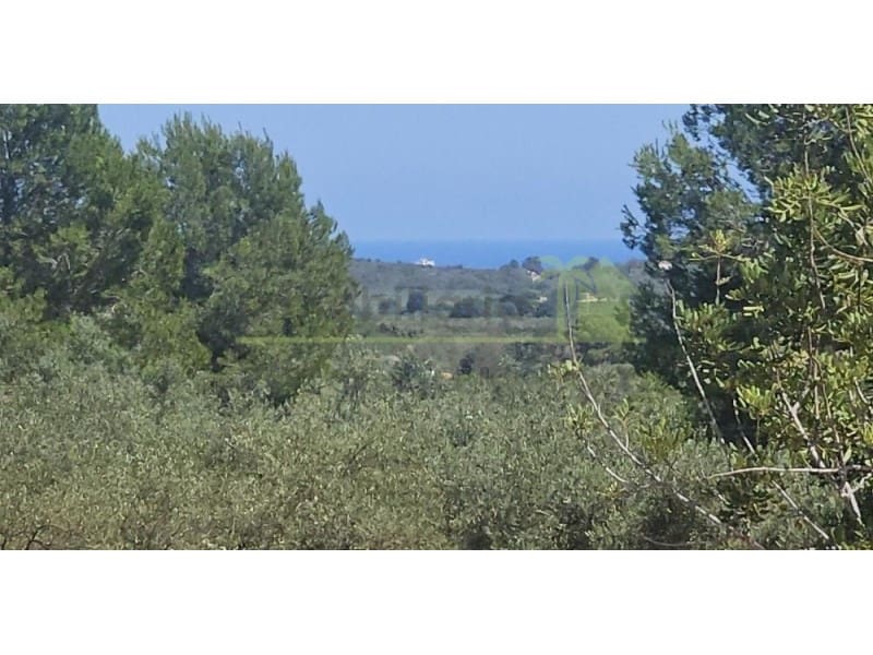 Undeveloped Land for sale in Cervera del Maestre / Cervera del Maestrat - € 89,000 (Ref: 9591471)