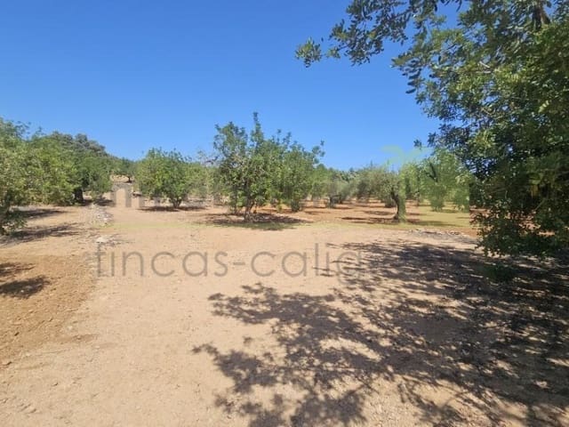 Rakentamaton maa myytävänä paikassa Cervera del Maestre / Cervera del Maestrat - 89 000 € (Ref: 9591471)