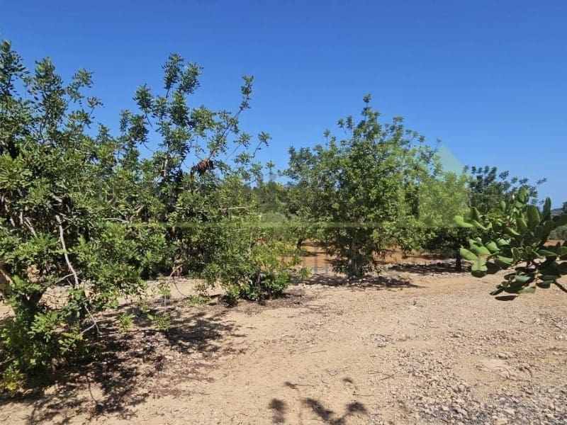 Undeveloped Land for sale in Cervera del Maestre / Cervera del Maestrat - € 89,000 (Ref: 9591471)