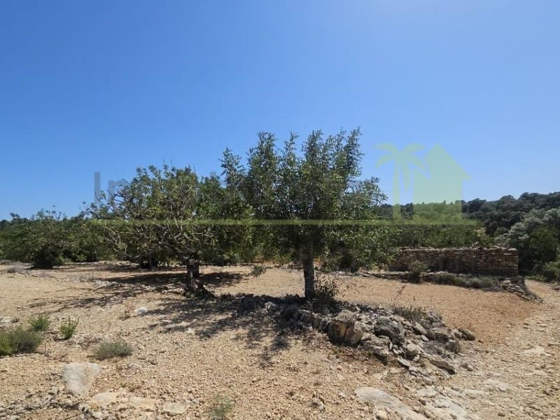 Undeveloped Land for sale in Cervera del Maestre / Cervera del Maestrat - € 89,000 (Ref: 9591471)