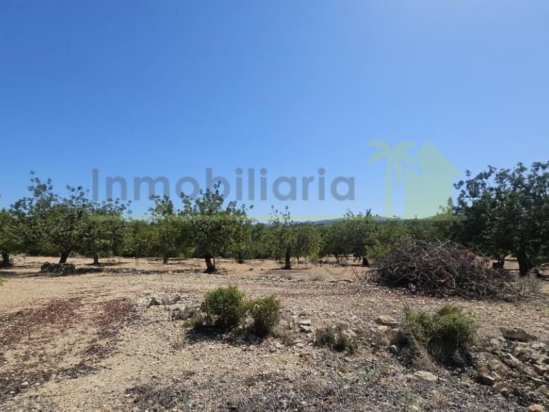 Undeveloped Land for sale in Cervera del Maestre / Cervera del Maestrat - € 89,000 (Ref: 9591471)