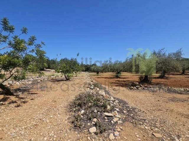 Rakentamaton maa myytävänä paikassa Cervera del Maestre / Cervera del Maestrat - 89 000 € (Ref: 9591471)