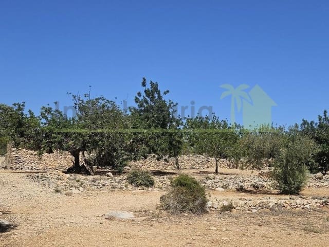 Rakentamaton maa myytävänä paikassa Cervera del Maestre / Cervera del Maestrat - 89 000 € (Ref: 9591471)