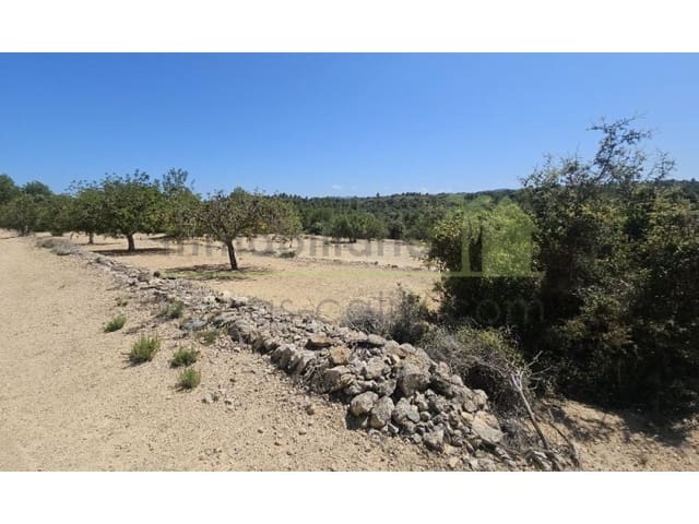 Rakentamaton maa myytävänä paikassa Cervera del Maestre / Cervera del Maestrat - 89 000 € (Ref: 9591471)