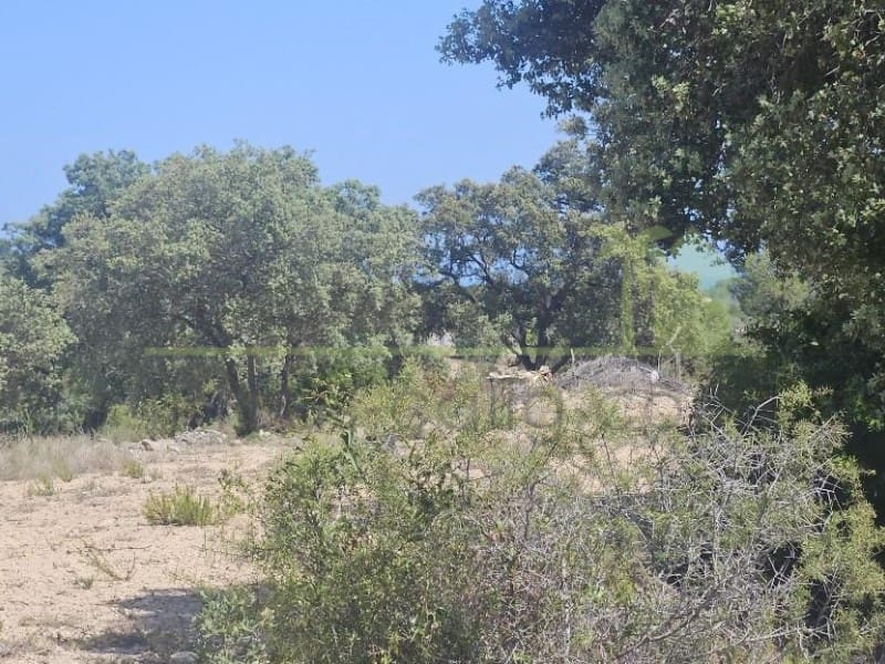 Undeveloped Land for sale in Cervera del Maestre / Cervera del Maestrat - € 89,000 (Ref: 9591471)