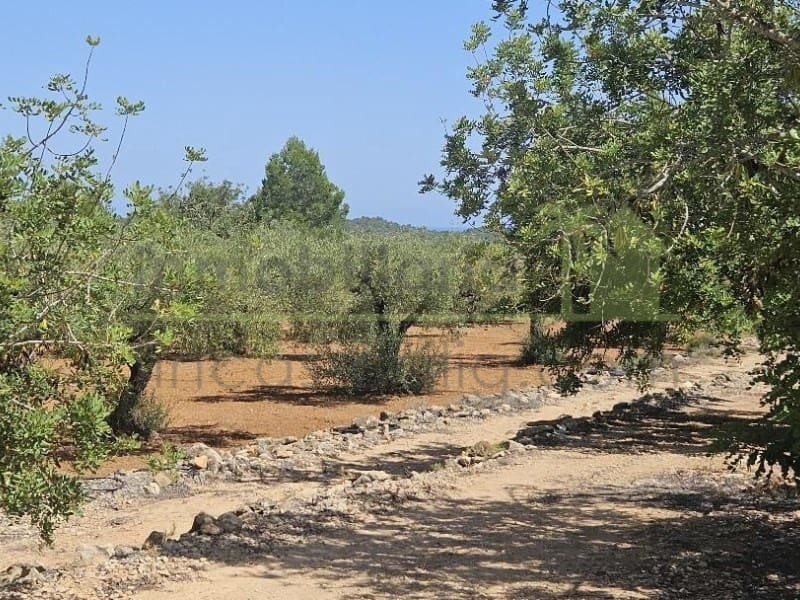 Undeveloped Land for sale in Cervera del Maestre / Cervera del Maestrat - € 89,000 (Ref: 9591471)