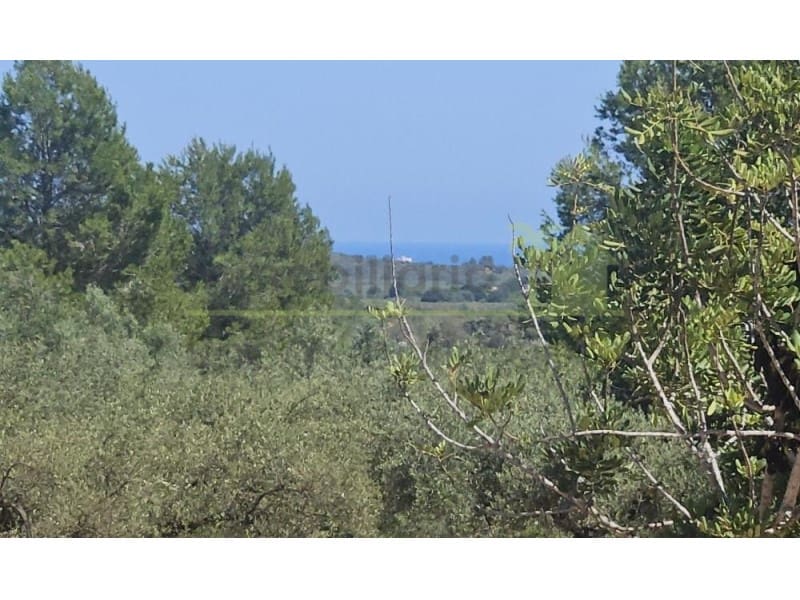 Undeveloped Land for sale in Cervera del Maestre / Cervera del Maestrat - € 89,000 (Ref: 9591471)
